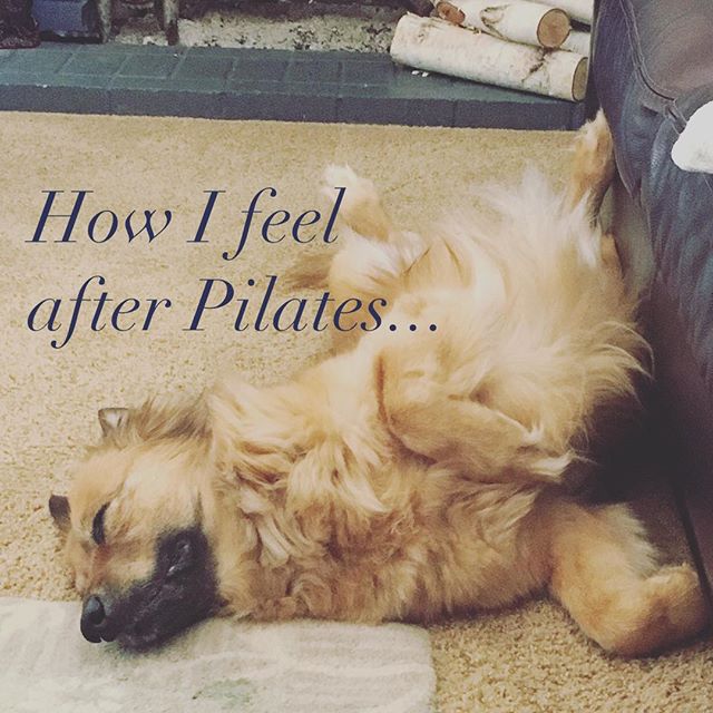Happy Friday ya'll #love #dog #pilates #blisshangover #howifeelafterpilates