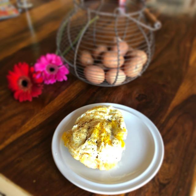 Fresh eggs this morning from my sweet girls 🐓 who laid like crazy 🥚 🥚. I made three eggs, only using 1 egg yoke.  If you have any interest in curbing your sugar cravings, make two changes.  Have three eggs everyday all at once, even make it for dinner if you don’t have time in the morning.  And drink at least 40oz of water a day.  Make those two changes and tell me what happens   Have a beautiful day my loves 🌞 #eggs #chick #chickens #weightloss #beatsugar #haveabeautifulday #haveagoodday #gracefulpilates