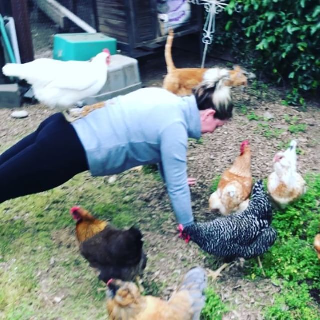 #lizziesplankchallenge DAY 14 = 1min20secThis got me! Maybe cause I already worked out this morning. Plus I had mama on my back really weighing me down 🐓 Whatevs.  All I know is I was yelling at the camera man ‘how much time is left️’ My chicks said to say hello 🏼 I sure hope those of you who thought you’d wait till I got to a minute have started😬. I really want us all to make it to 3 minutes, and I’m already questioning whether I can🤔 Tomorrow we rest 😴See you Monday!!#plank #plankplan #planking #planks #plankworkout #plankpose #plankinglikeaboss #plankaday #plankitout #plankster #gracefulpilates www.gracefulpilates.com