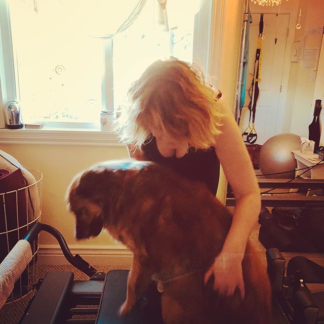 My client had just slipped on the reformer while trying a new move and she wanted to try it again. KayLee 🐕 immediately jumped on the reformer and would not let her back on. KayLee was worried she’d get hurt and was ‘saving’ her.Here’s my client trying to coax her off the #reformer #dog #doglover #sweetkaylee #pilates #gracefupilates #livermore