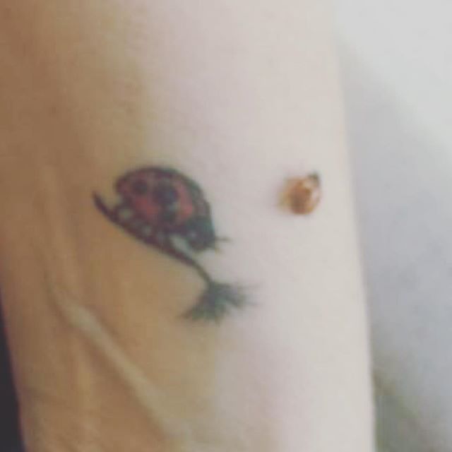Ladybug’s RULE  #ladybug Its what my late father and late brother used to call 🤙 me🙂