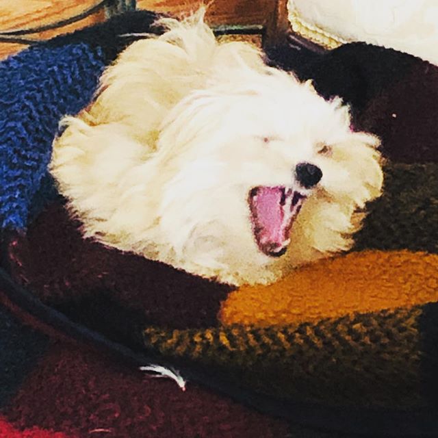 Well good morning little sweetheart. #yawn