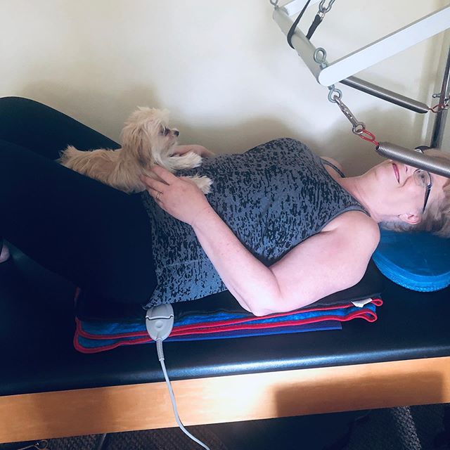 Puppy support on the Cadillac...#pilatescadillac #pilates #puppylove #emotionalsupportdog  #puppy #love #workout #gracefulpilates #livermore #privatesession